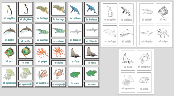 Preschool Package 1 - Image 4