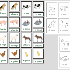 Animales