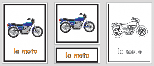Transporte - Image 2